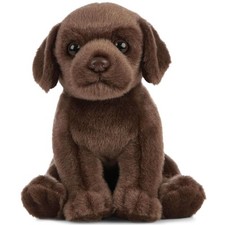 Living Nature Chocolate