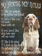 Clumber Spaniel Dog My House