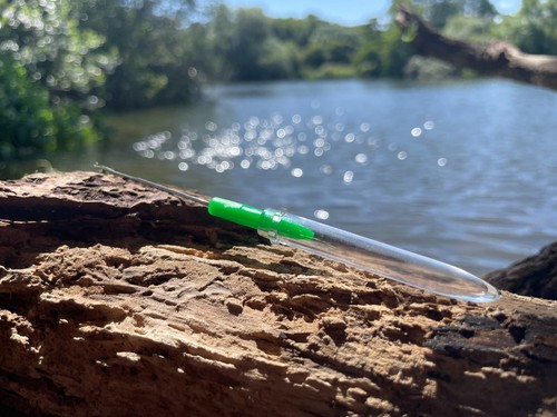 Green carp fine baiting - fine,