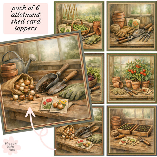 Allotment garden card - allotment,