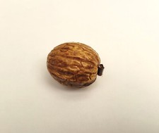 1920's Celluloid (Early