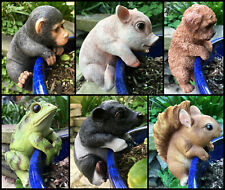 Plant Pot Pals Hanging Garden