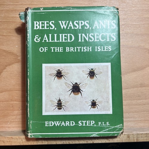 Bees wasps ants - bees,,