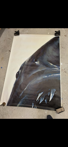 Extremely rare jaws theater - rare, 2