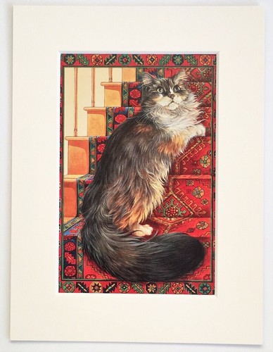Lesley anne ivory cat - cat,