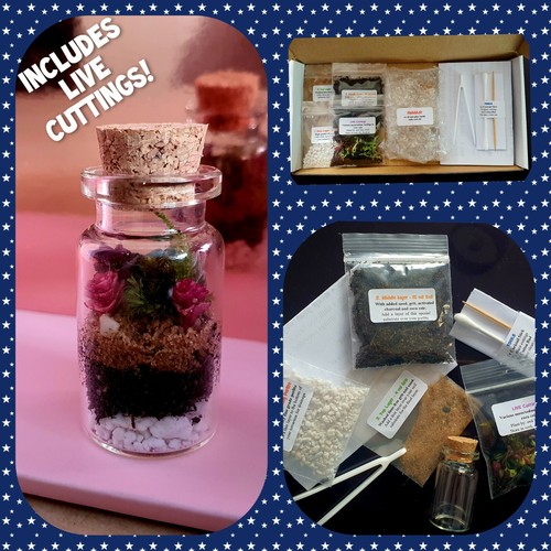 Miniature diy terrarium kit - diy,