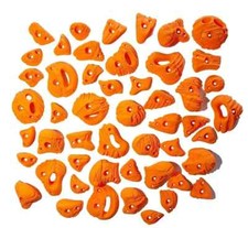 50 Medium - XL Jurassic Set