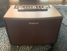 Roland - AC-60 2-Channel Portable Amp with Padded Carry Case - Rosewood Finish