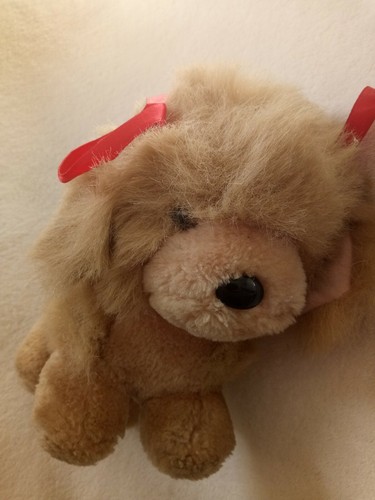 Vintage pms dog - dog, puppy