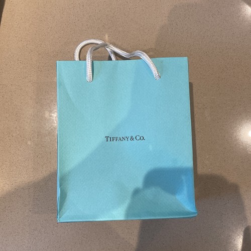 Tiffany small gift bag - tiffany,