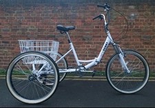 SCOUT Adult Folding Tricycle With Basket 6 Speed 