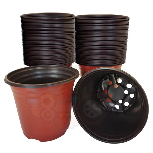 100pcs nursery plant pot - 6",