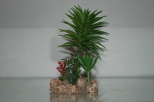 Vivarium desert plant - vivarium,