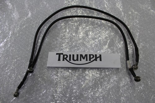 Triumph sprint 955i brake - triumph,
