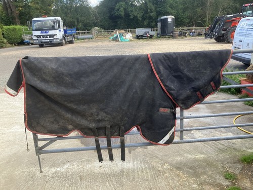 Horsewear ireland amigo bravo - ,