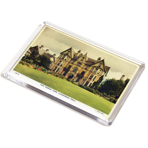 Jumbo magnet vintage wales - magnet,