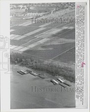 1965 Press Photo Group of