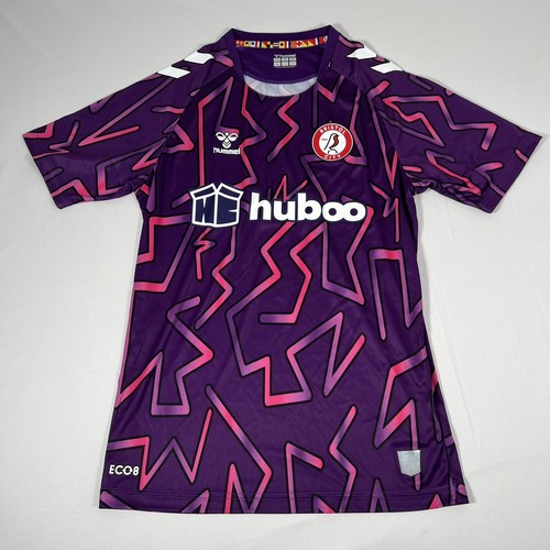 Bristol city football - bristol,