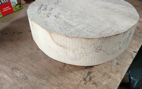 Spalted beech bowl blank - spalted, wood