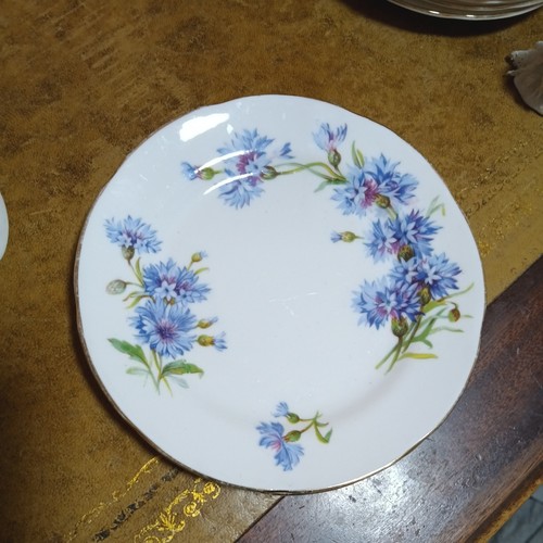 Set adderley cornflower - set, 6