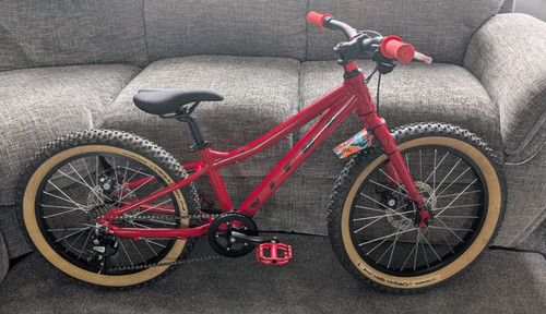 Vitus kids mountain - mountain, bike