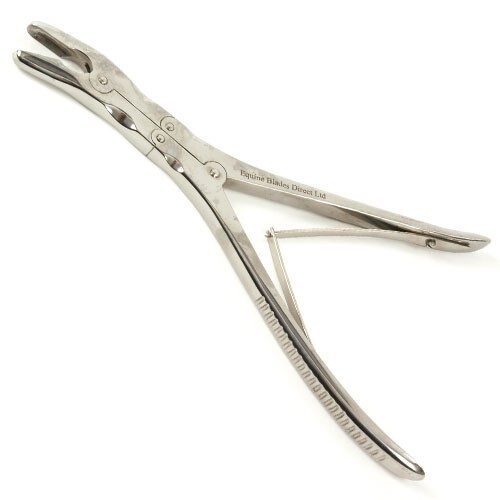 Equine dental compound - dental,