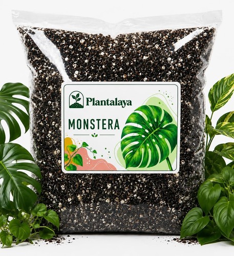 Monstera potting mix - monstera,