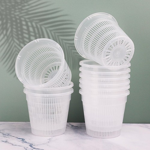 Nursery plant pots seedling - plant,