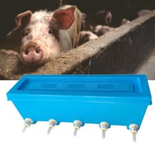 Lamb feed Bottle Lamb Nursing