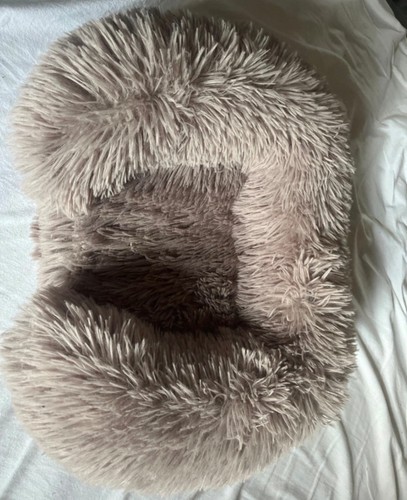 Cat bed - cat,