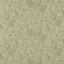 iLiv Woven Jacquard Fabric 1.6