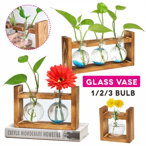 Crystal glass test bulb vase - glass,