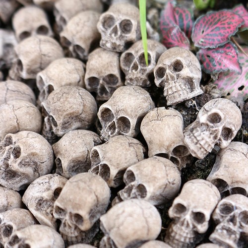 20pcs mini resin - mini, skull