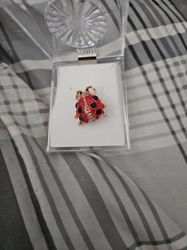 Ladybird brooch with realistic - with,