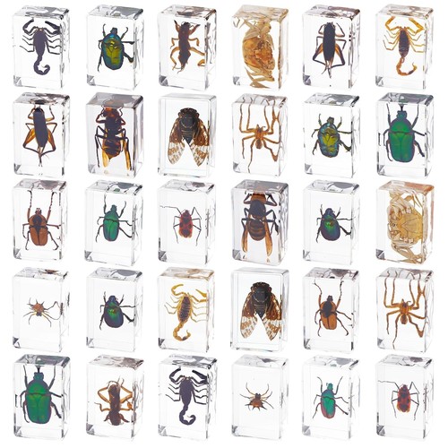 Pcs insect resin - 30,