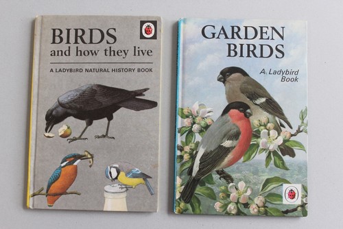 Vintage ladybird books - ladybird,
