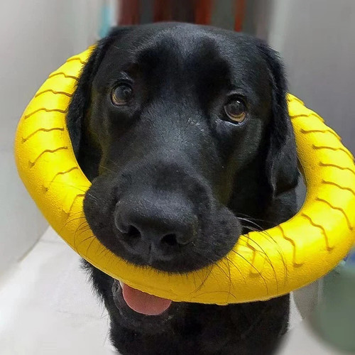 Dog ring toys indestructible - ring,