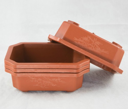 Rectangular plastic bonsai - bonsai, /
