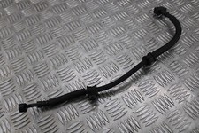 Honda NSS 300 Forza 2019 rear