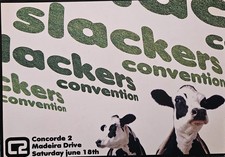 Slackers convention rave