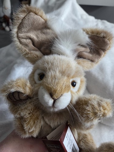Retired charlie bear roscoe - charlie,