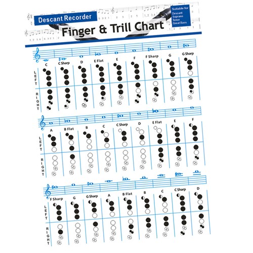 Music instrument guide - ,