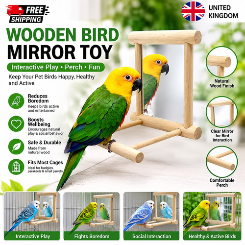 Wooden bird mirror interactive - wooden,