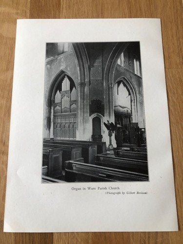 1934 print the organ in - organ, ware