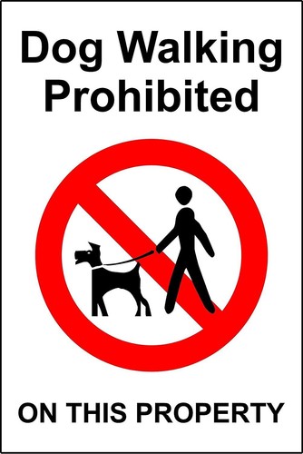 Dog walking - walking,