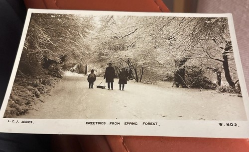 Greetings from epping forest - from,