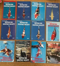 RARE The Magazine of The