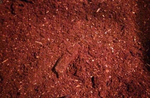 Flake soil for - flake,