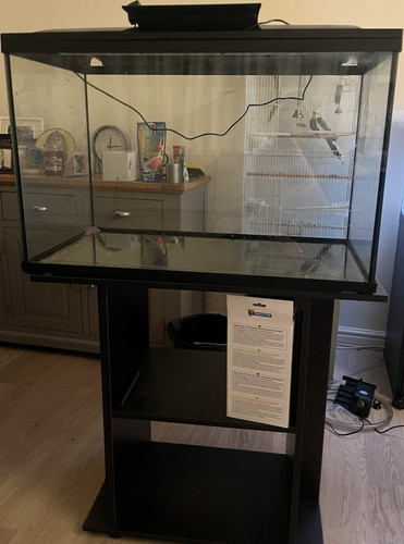 146 litre fish tank with - fish, (with