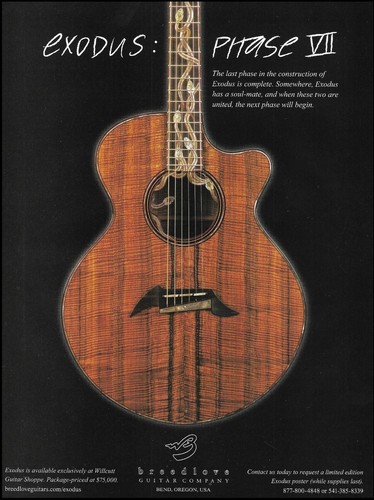2007 breedlove acoustic guitar - breedlove,